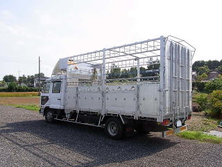 H25 フォワード 増トン ワイド 家畜運搬車 エアサス 積載8.2トン